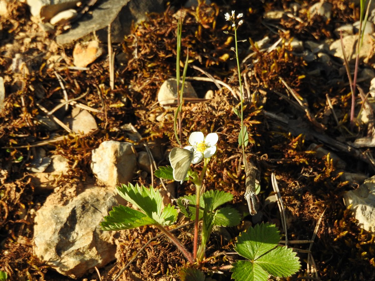 DSCN0863.jpg
