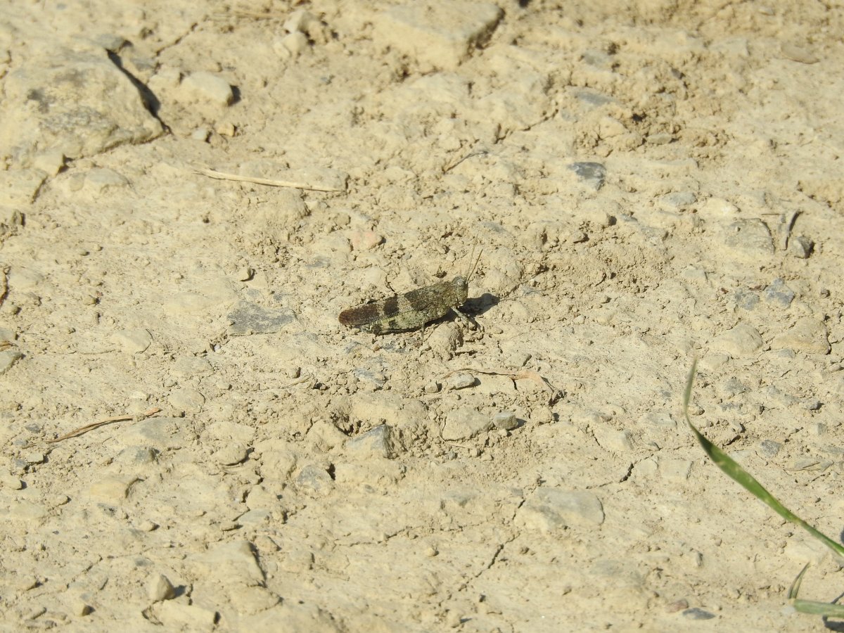 DSCN1507.jpg