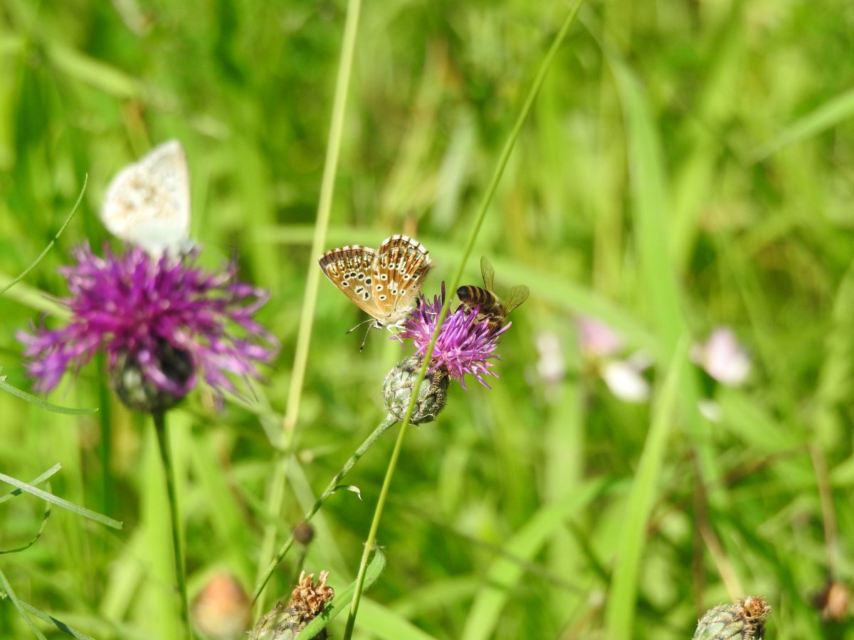 DSCN1538.JPG