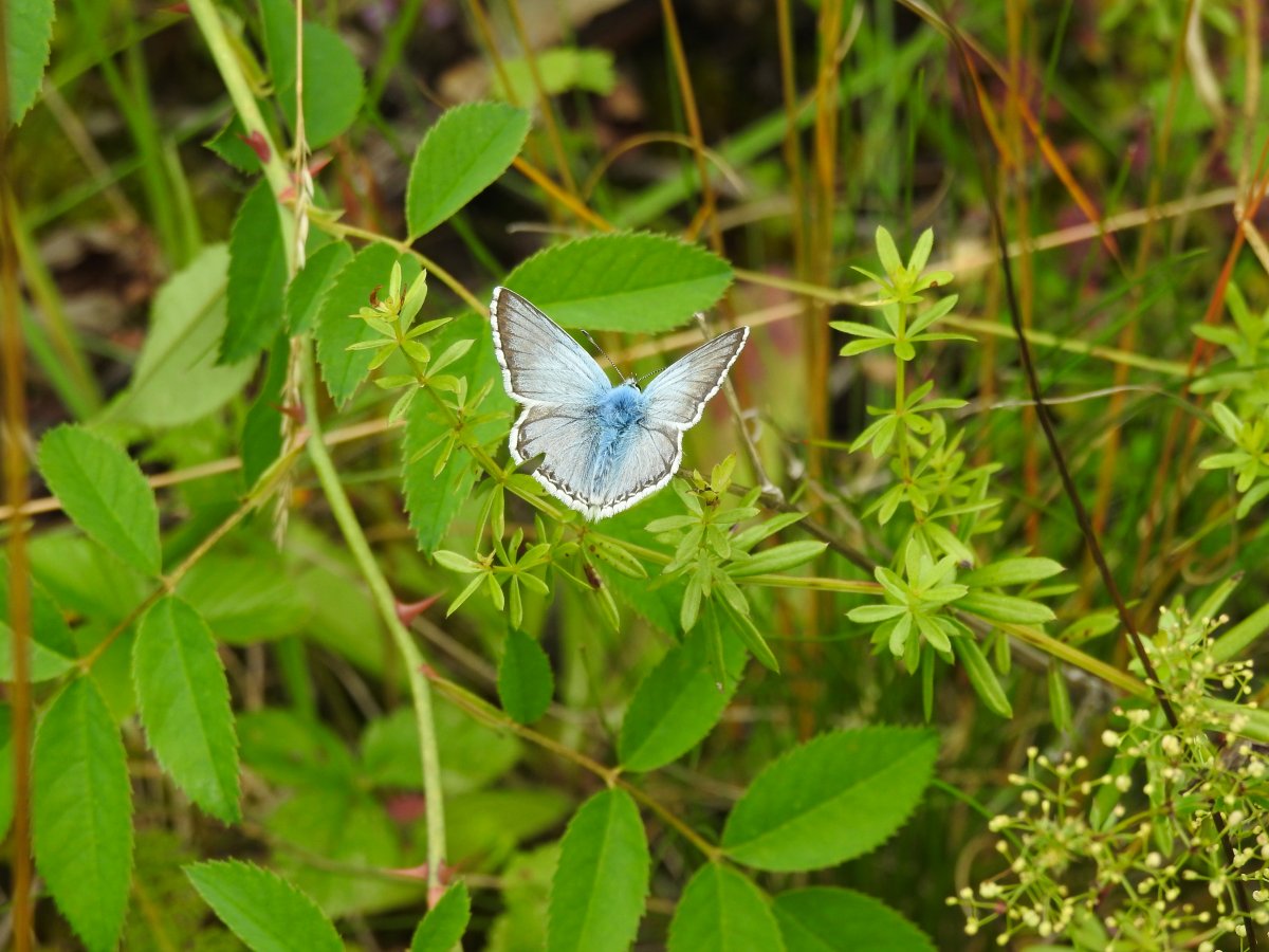 DSCN1695.jpg