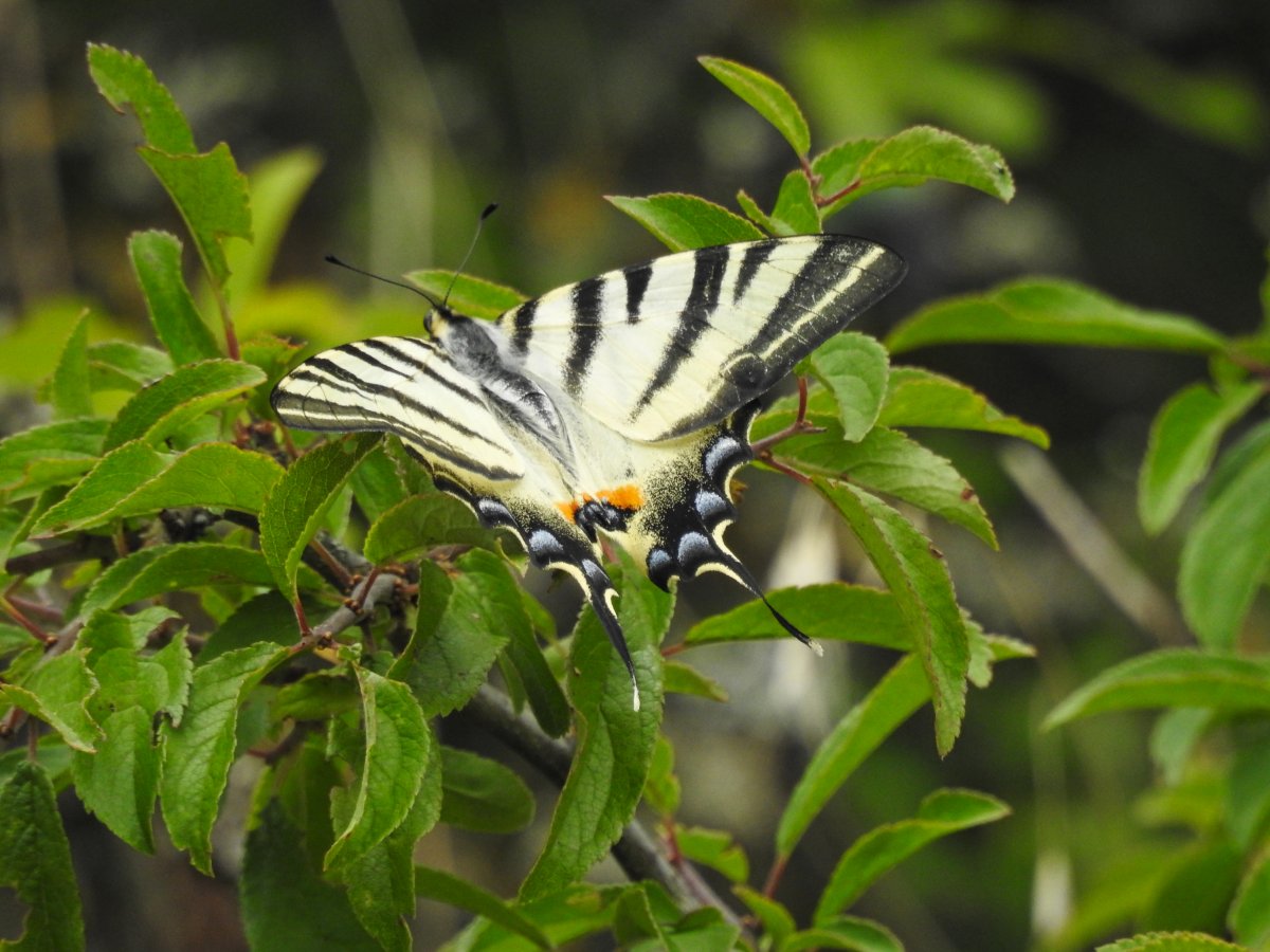 DSCN1753.jpg