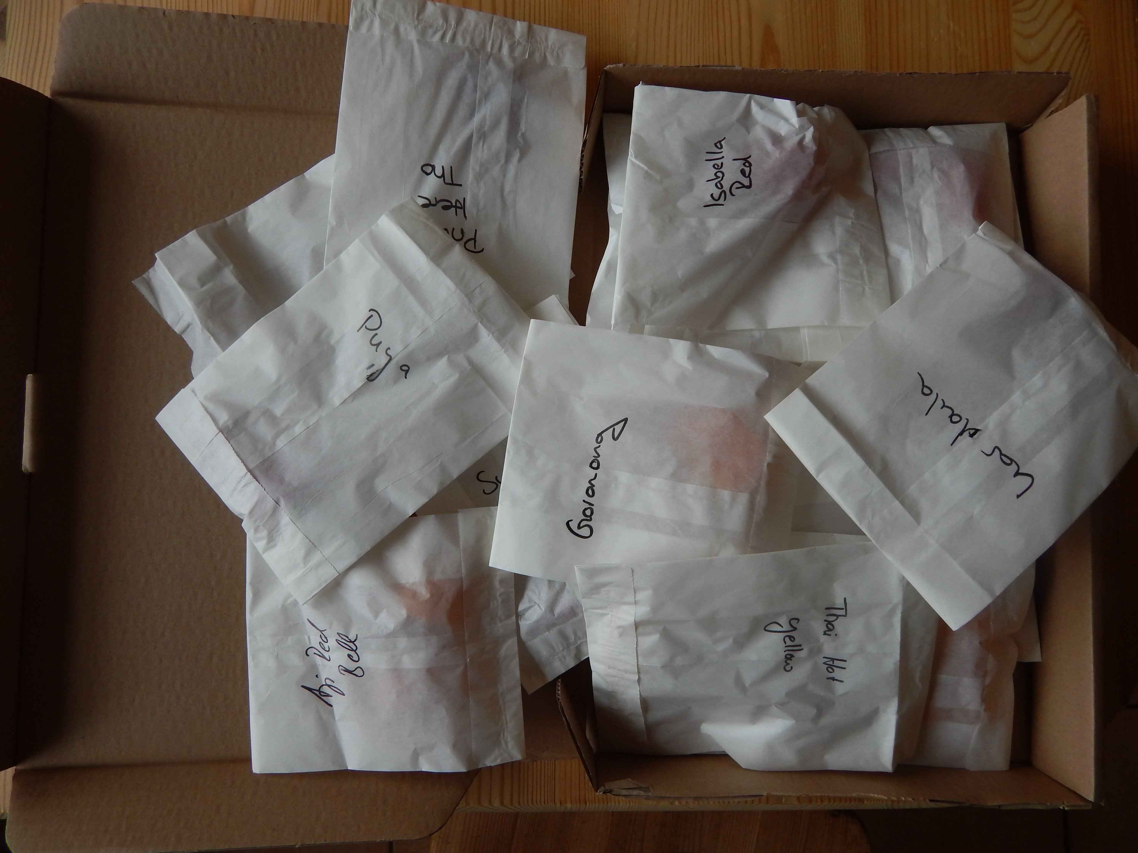 DSCN5051.JPG