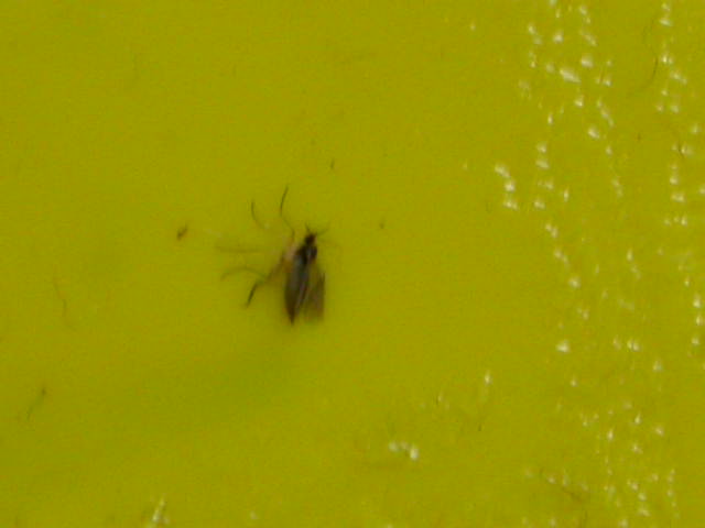 DSCN6939.JPG