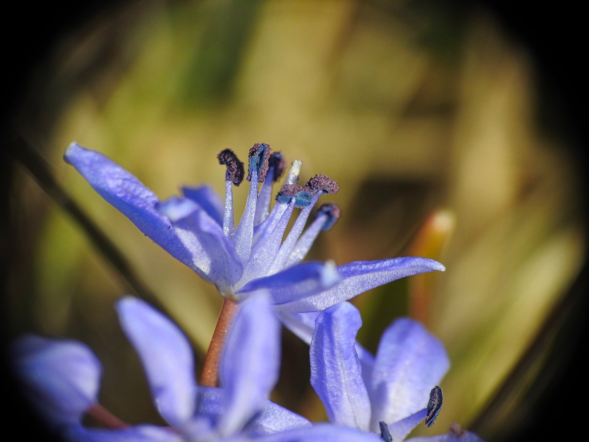 DSCN7349.jpg