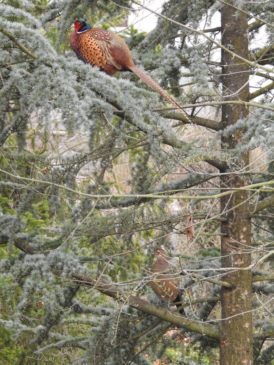 DSCN7476.JPG