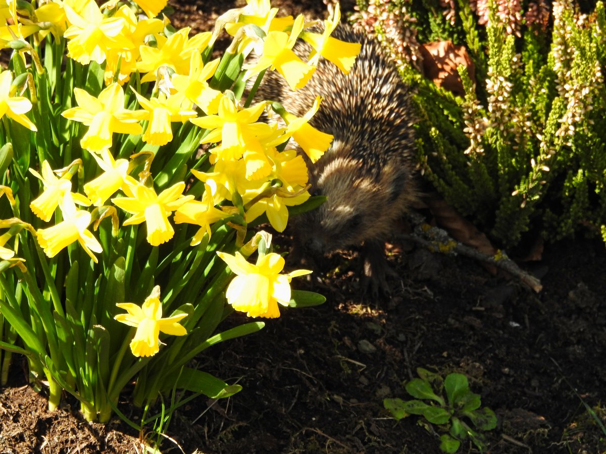 DSCN7562.jpg