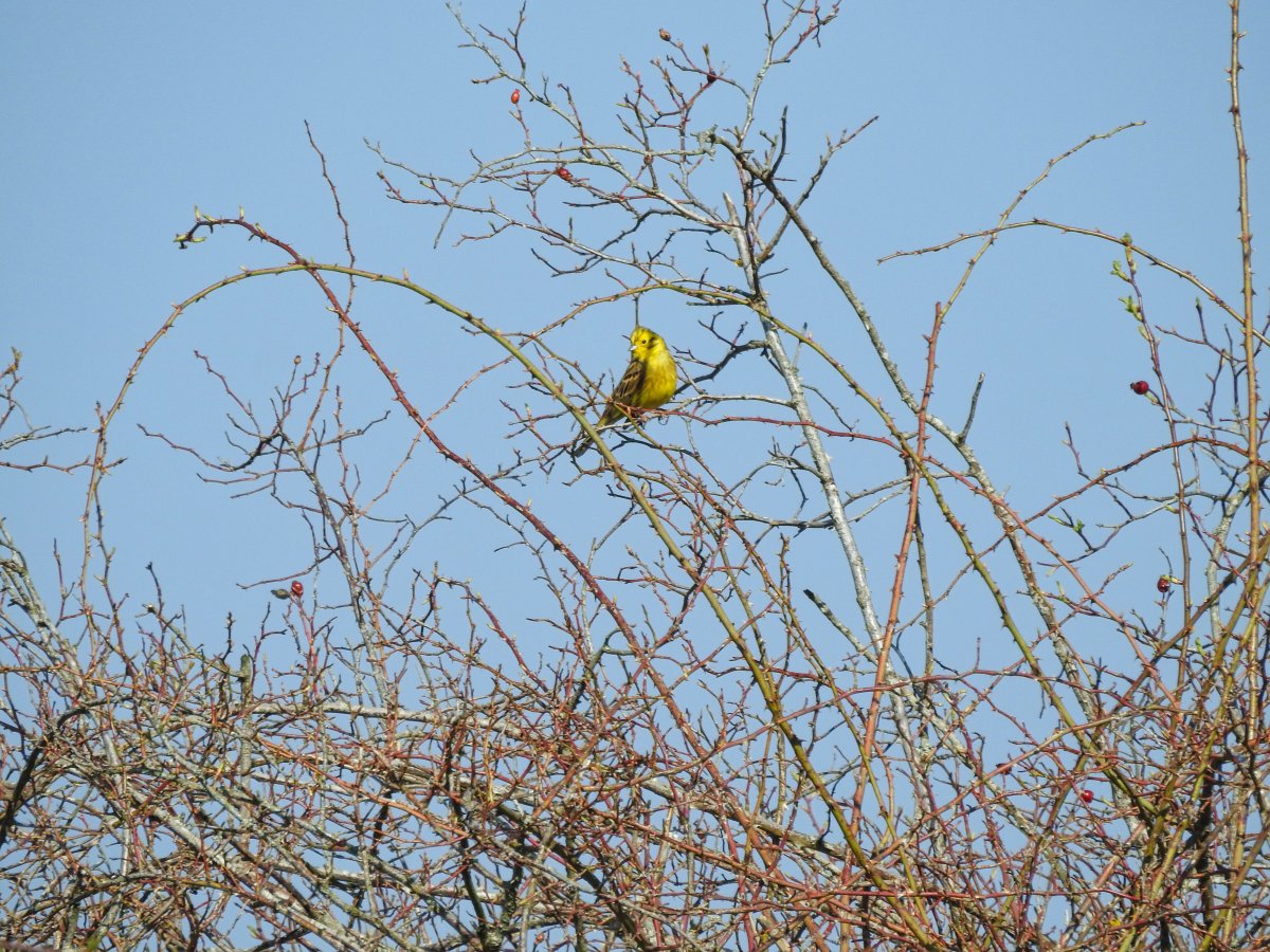 DSCN7686.jpg
