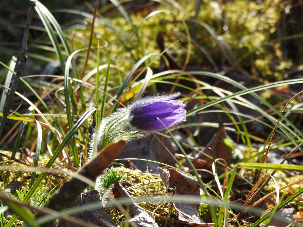 DSCN7691.jpg