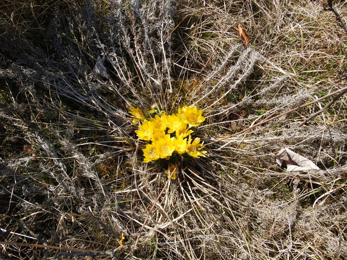 DSCN7695.jpg