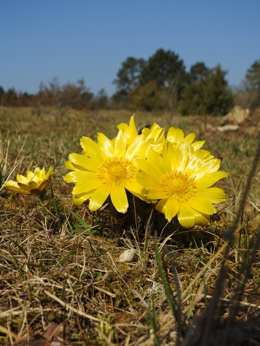 DSCN7712.jpg