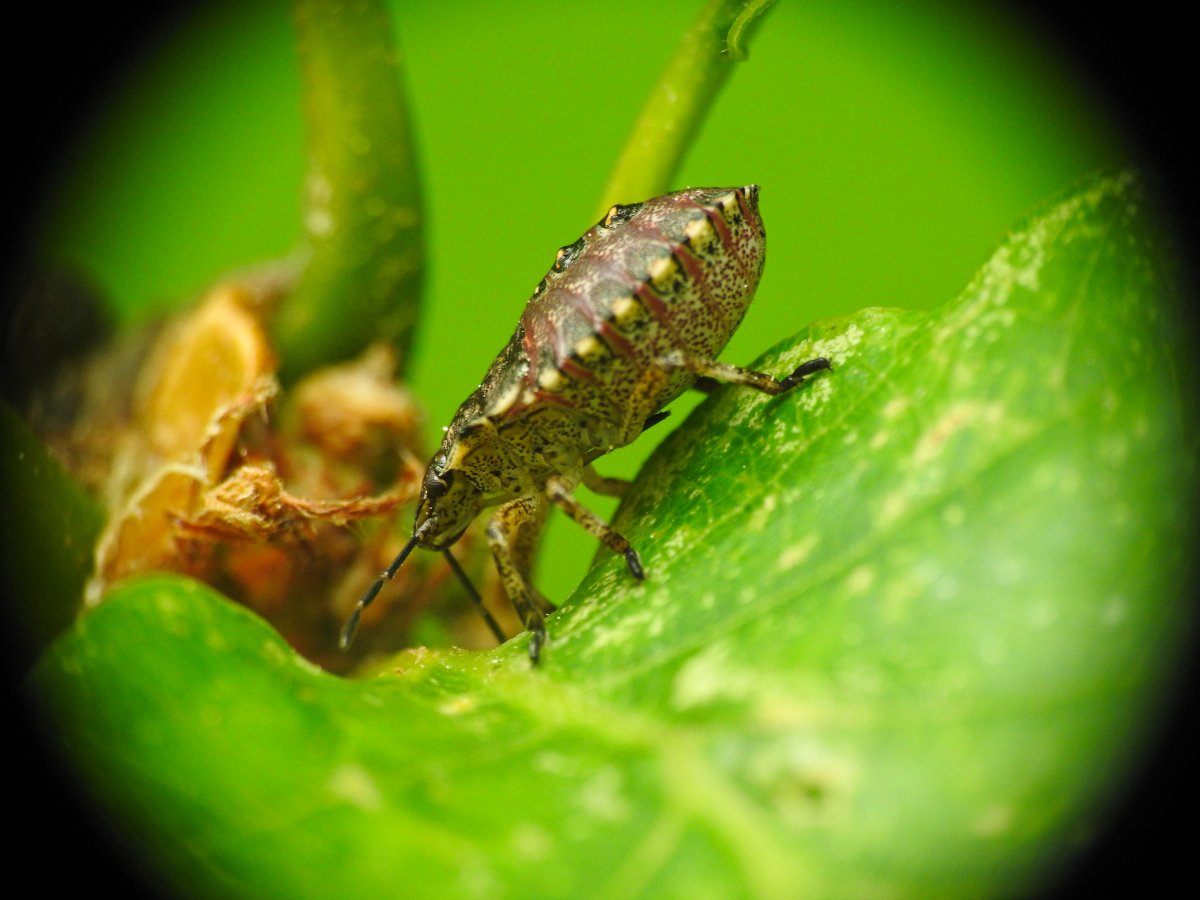 DSCN8082.jpg