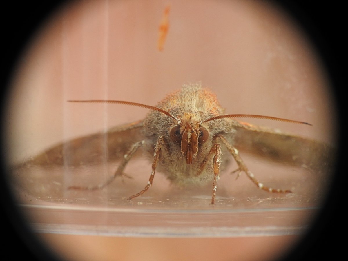 DSCN8108.jpg