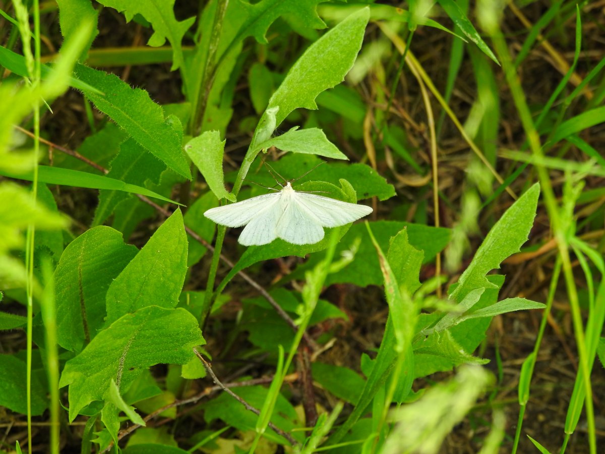DSCN8115.jpg