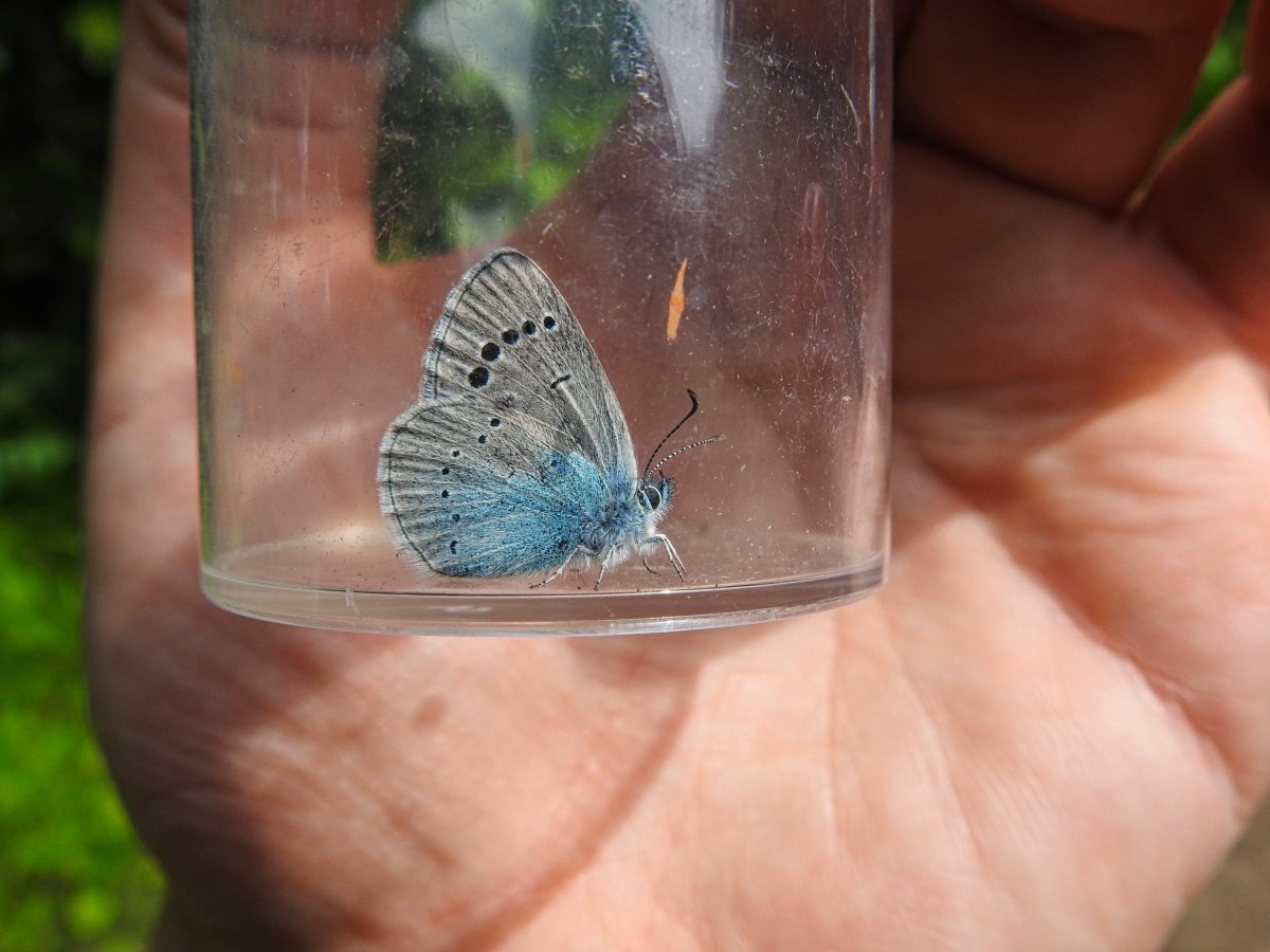 DSCN8166.jpg
