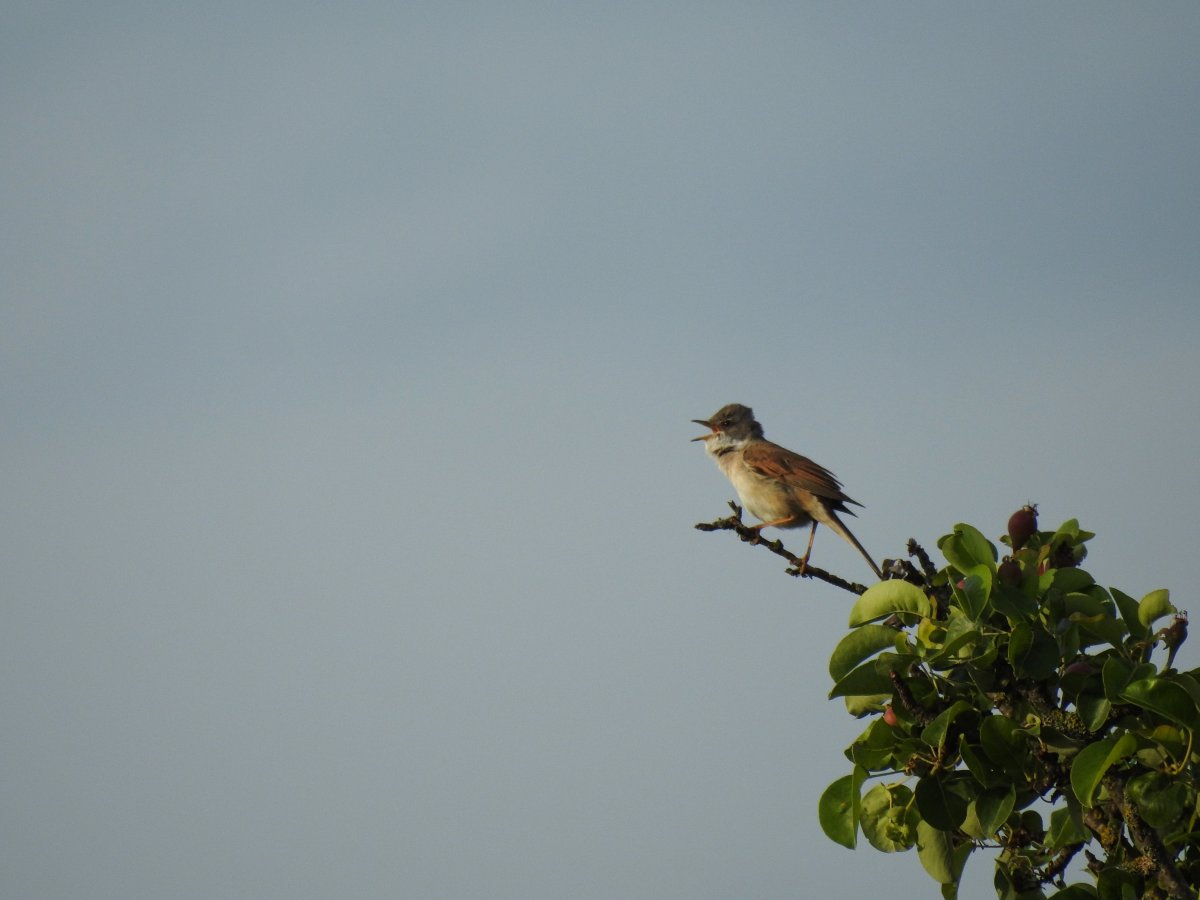 DSCN8246.jpg