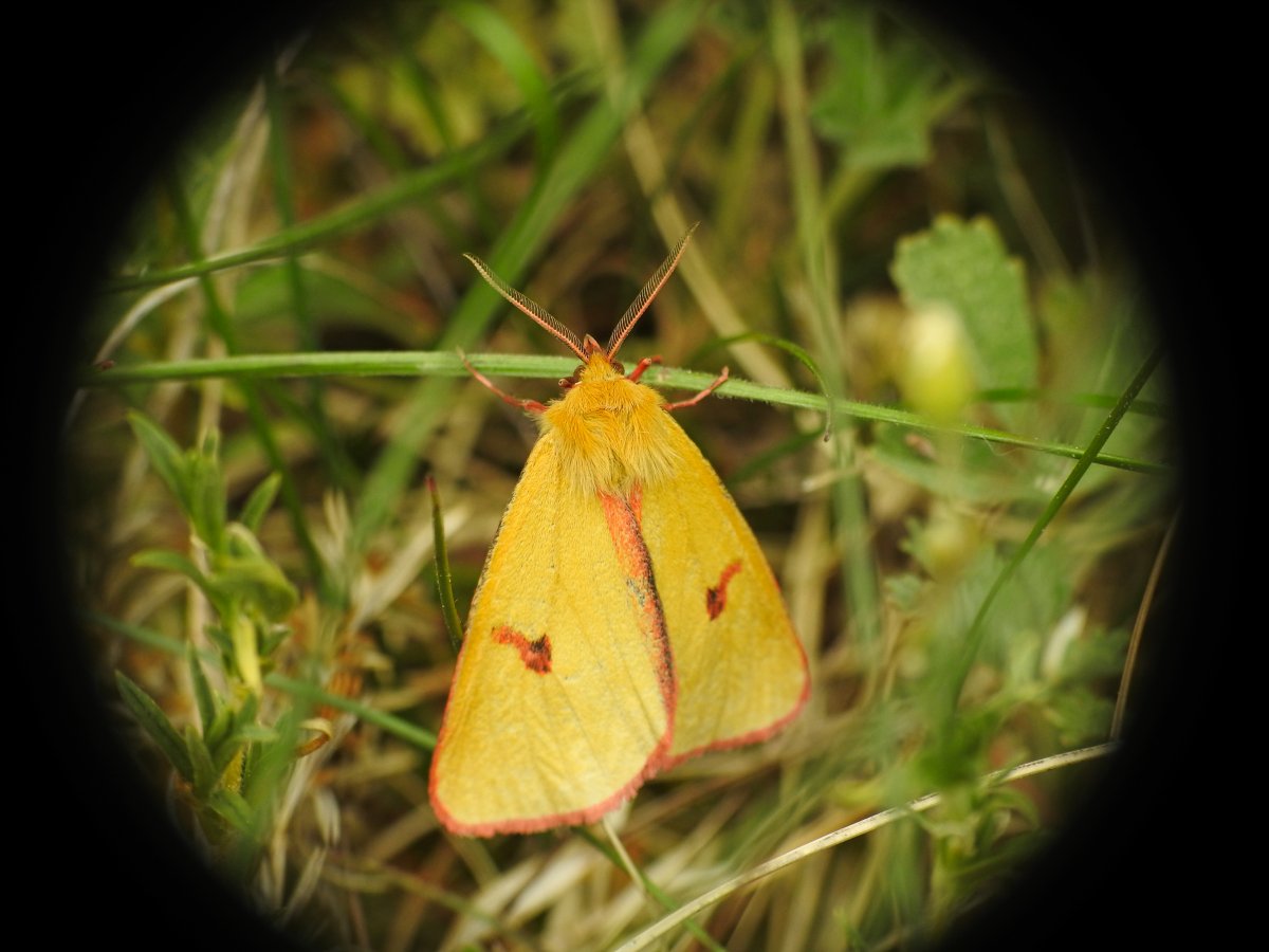 DSCN8429.jpg