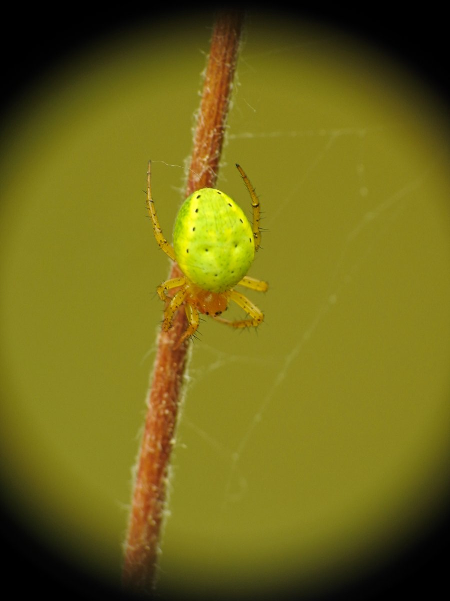 DSCN8481.jpg