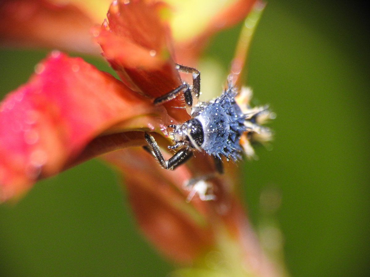 DSCN8535.JPG