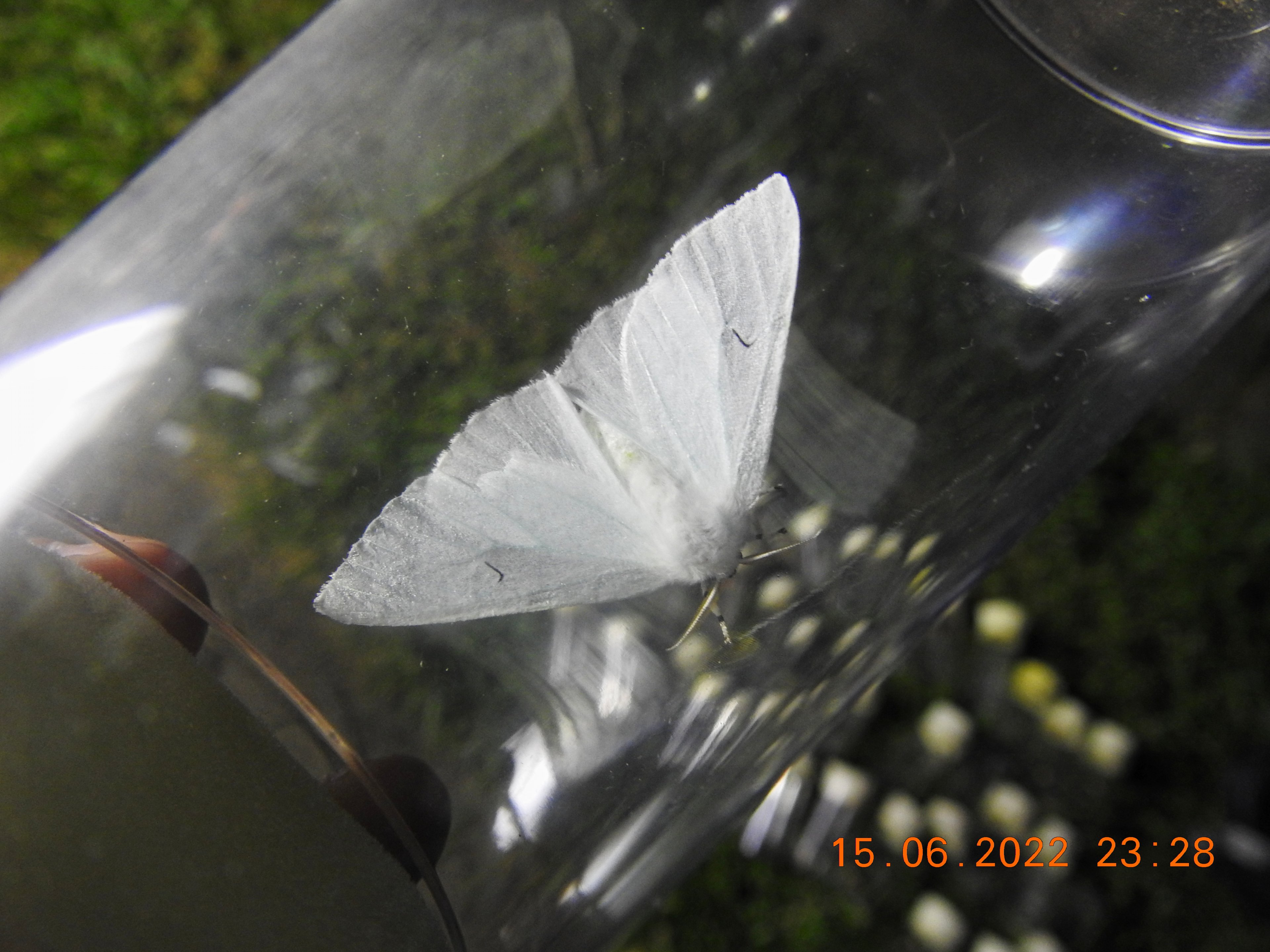 DSCN8856.jpg