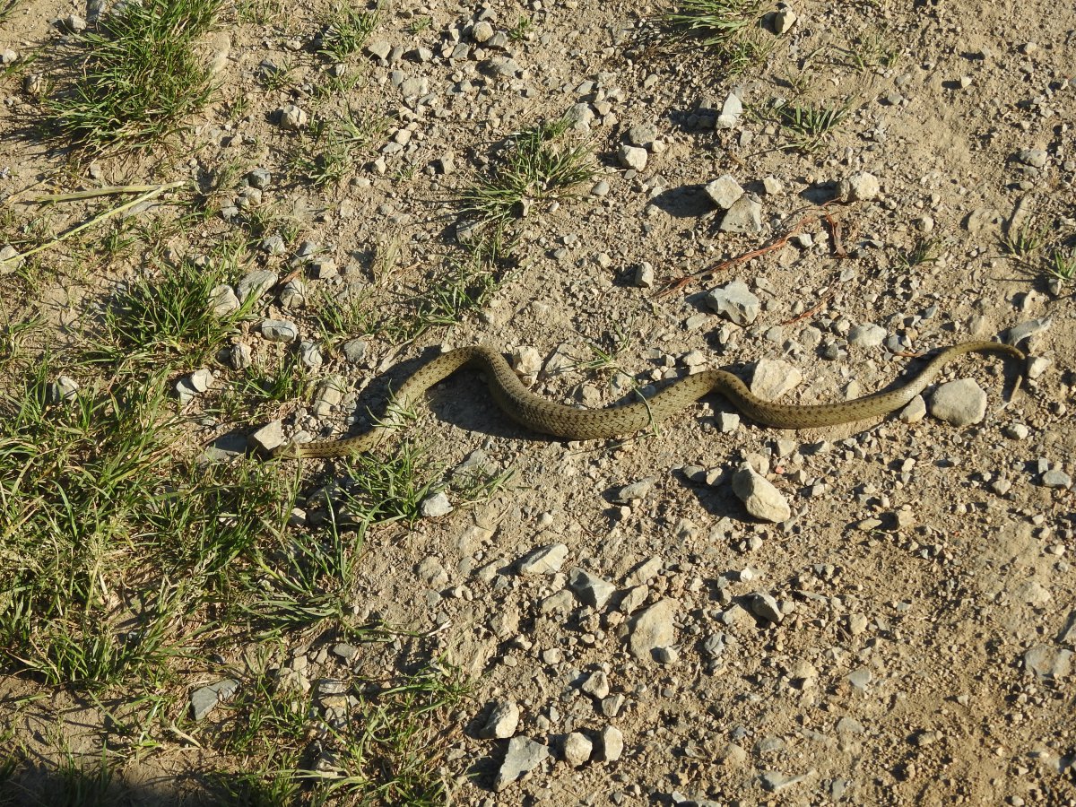 DSCN9606.JPG