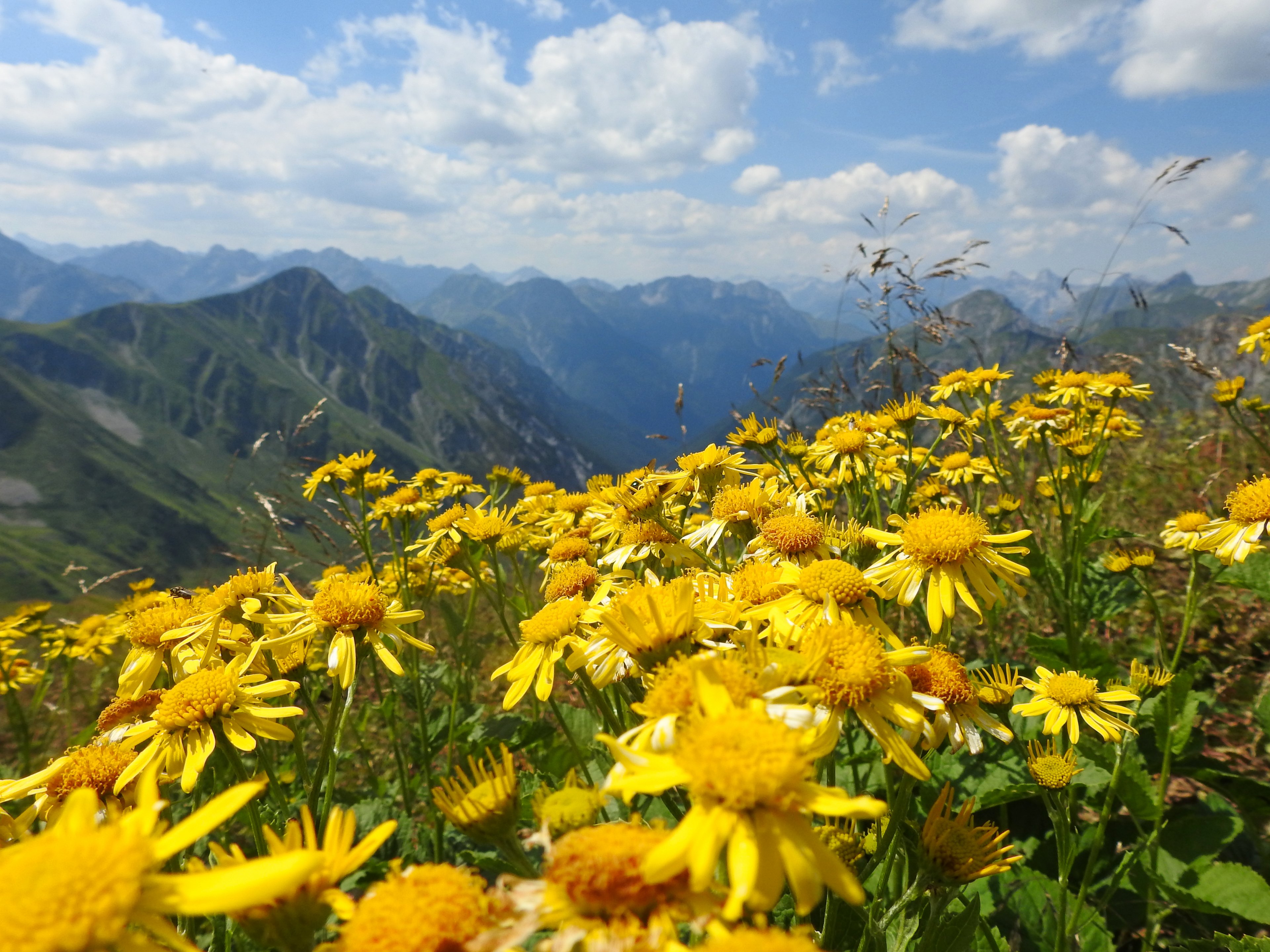 DSCN9609.jpg