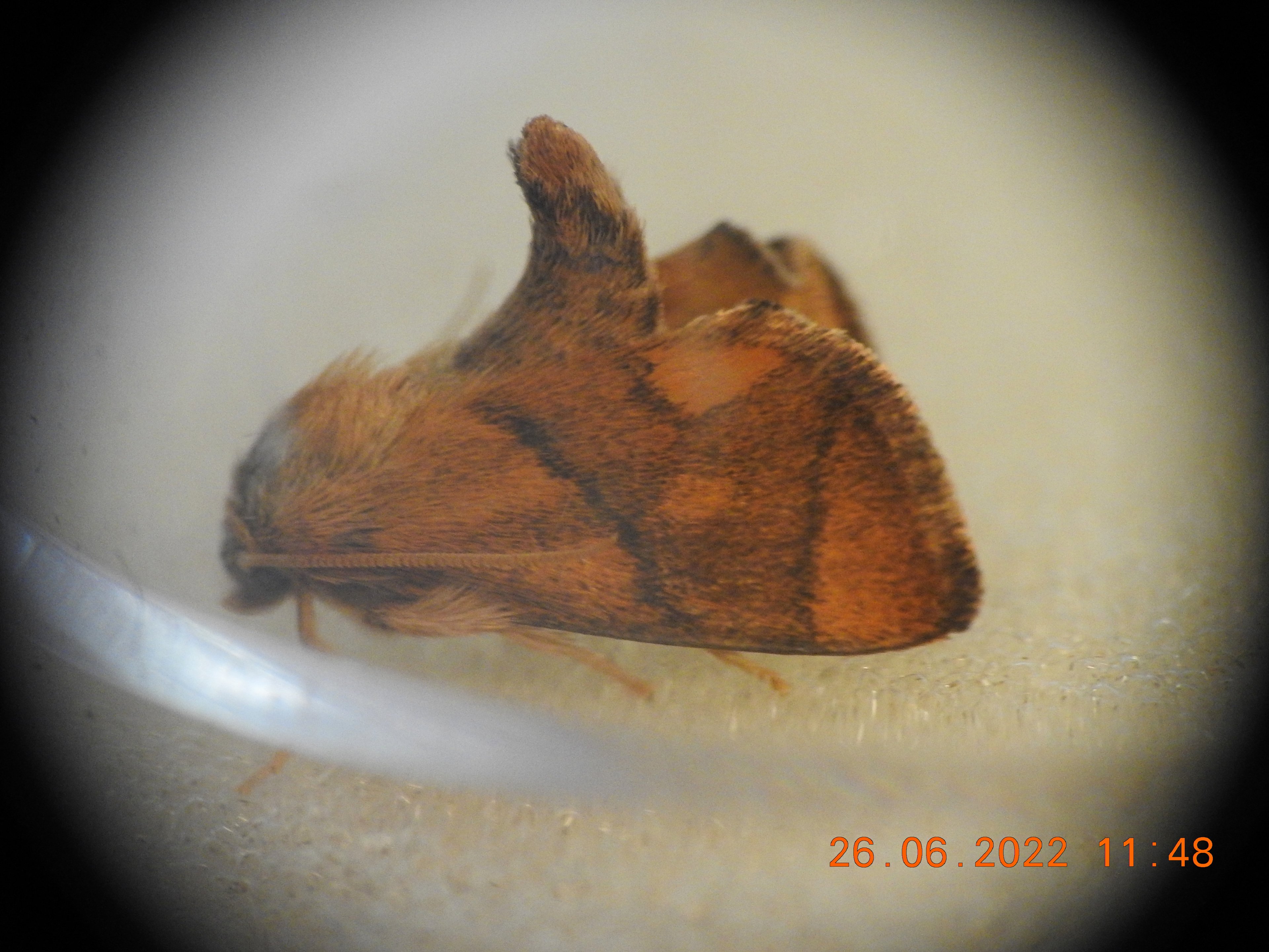 DSCN9695.jpg