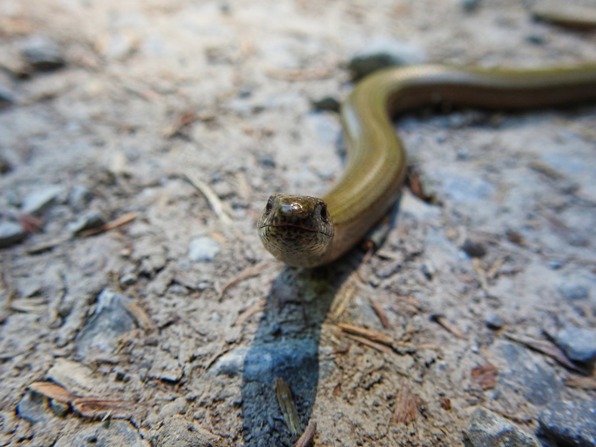 DSCN9881.jpg