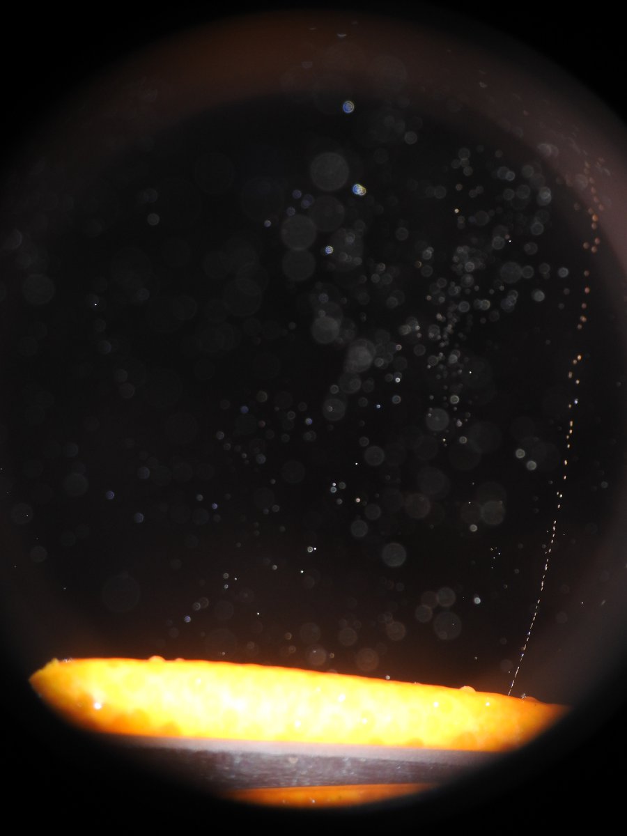 DSCN9914.JPG