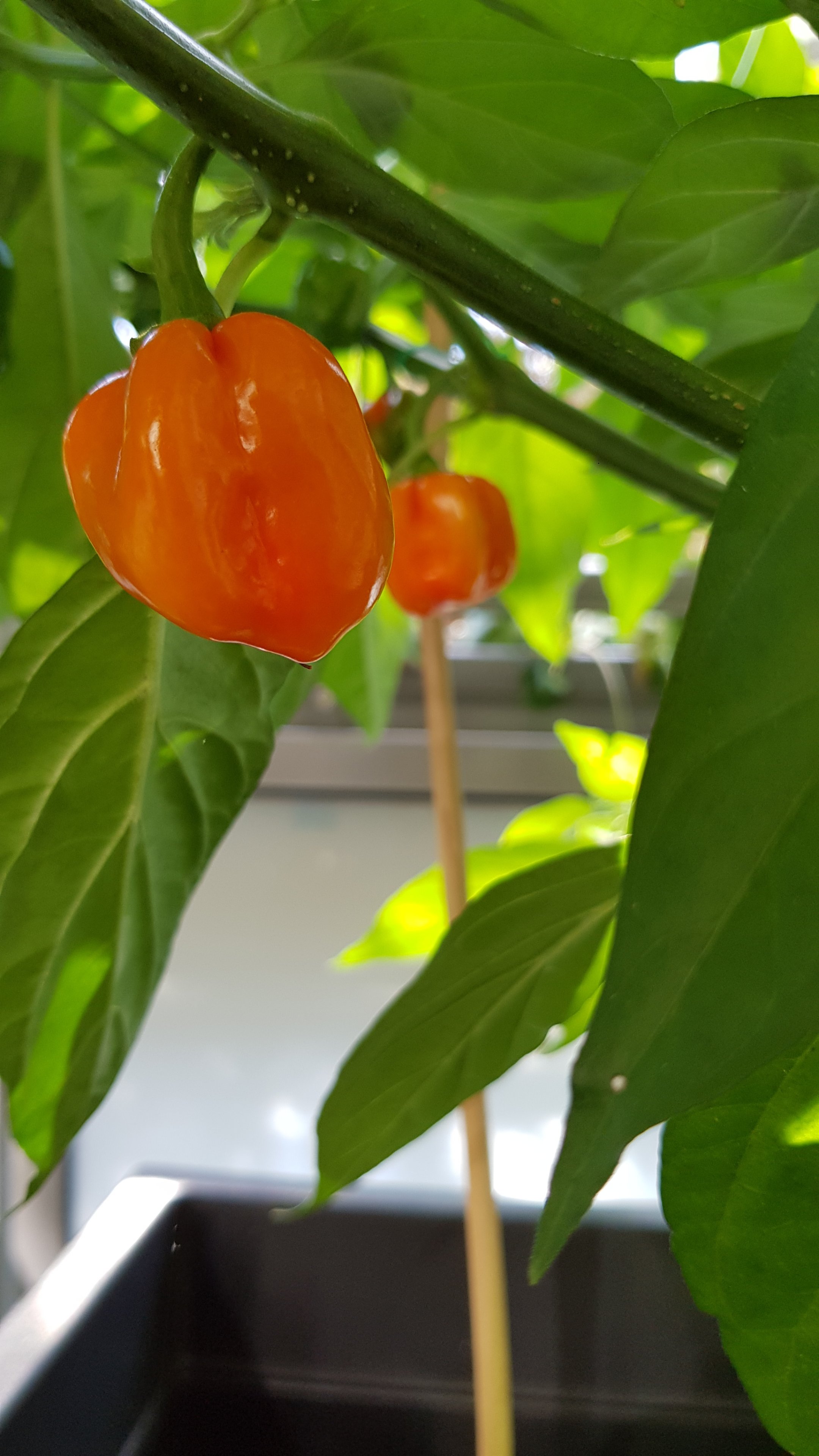 Farbe 2.jpg
