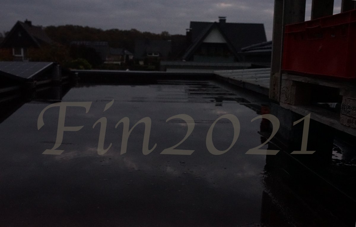 fin2021.jpg