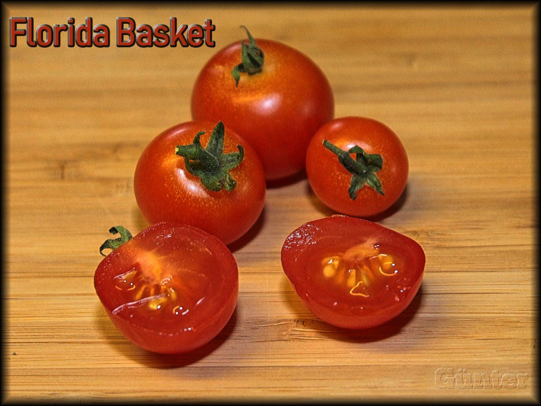 Florida Basket 24062018.JPG