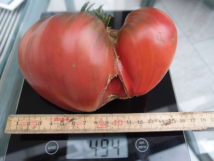 Frucht.JPG
