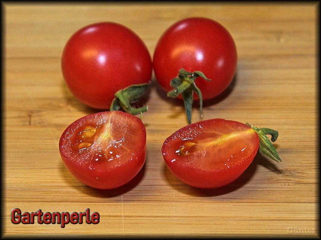 Gartenperle.JPG