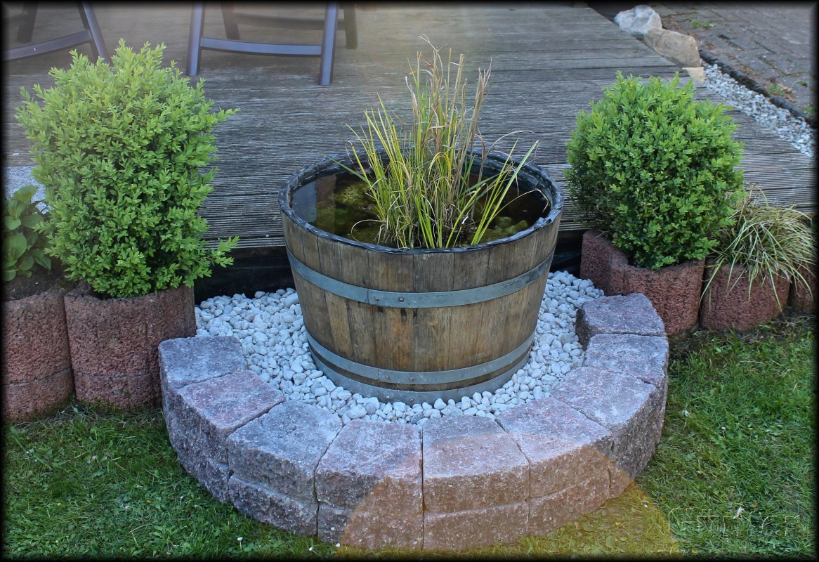 Gartenteich 05052018.jpg