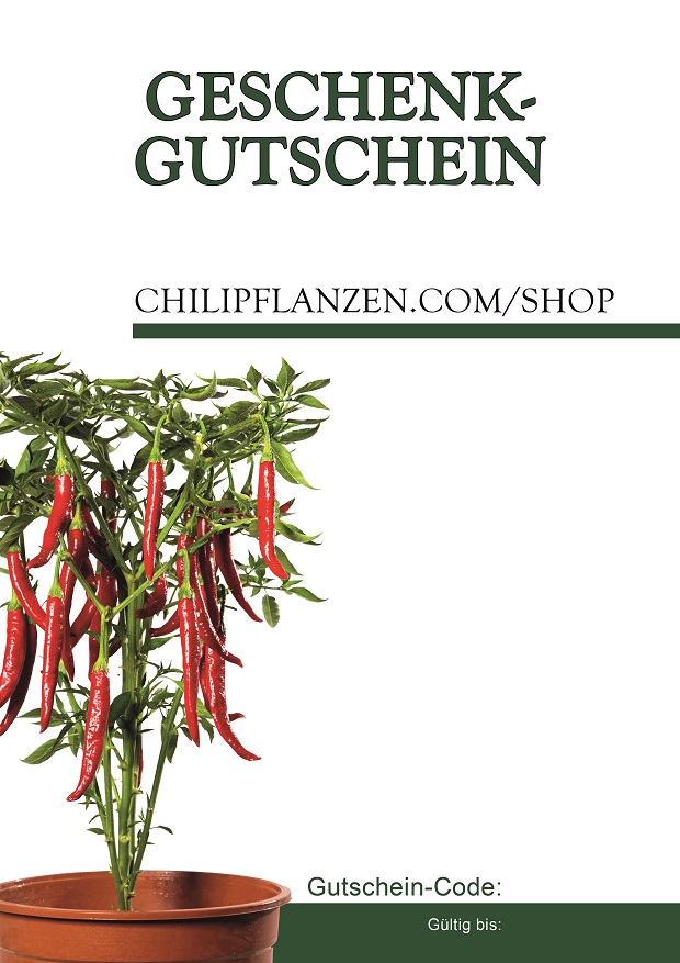 Gutschein-Pflanzen_1.jpg