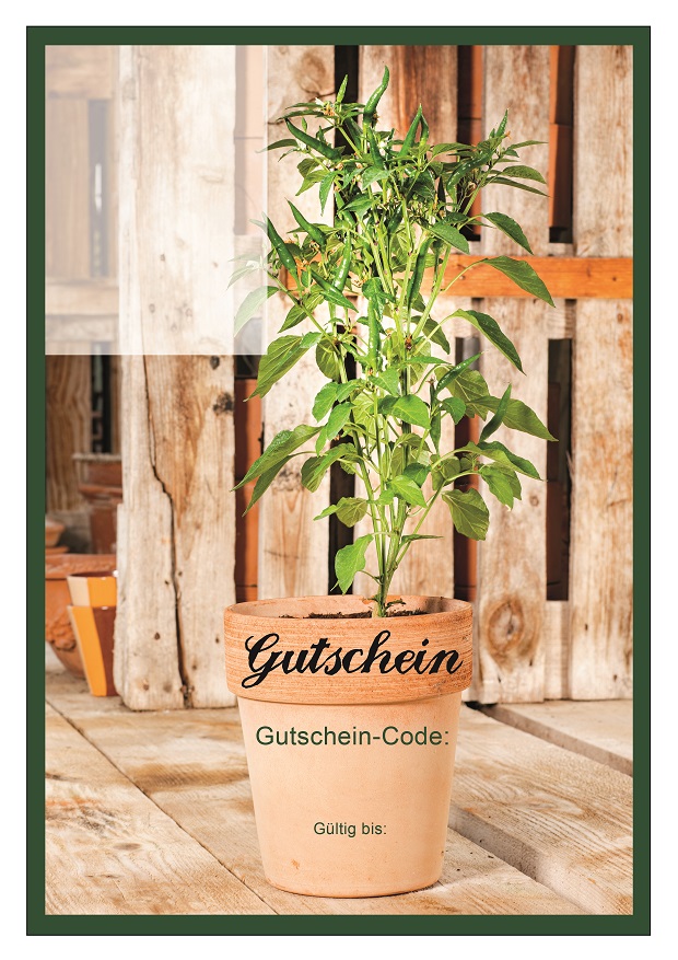 Gutschein-Pflanzen_2.jpg