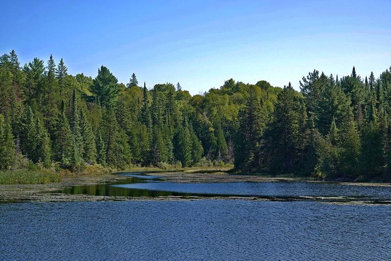 Hangus-Bild-River_1.jpg