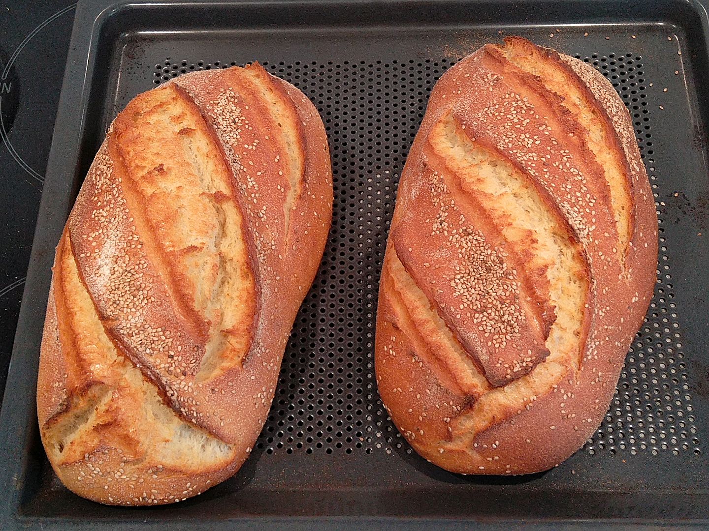 hartweizenbrot-31032024.jpg