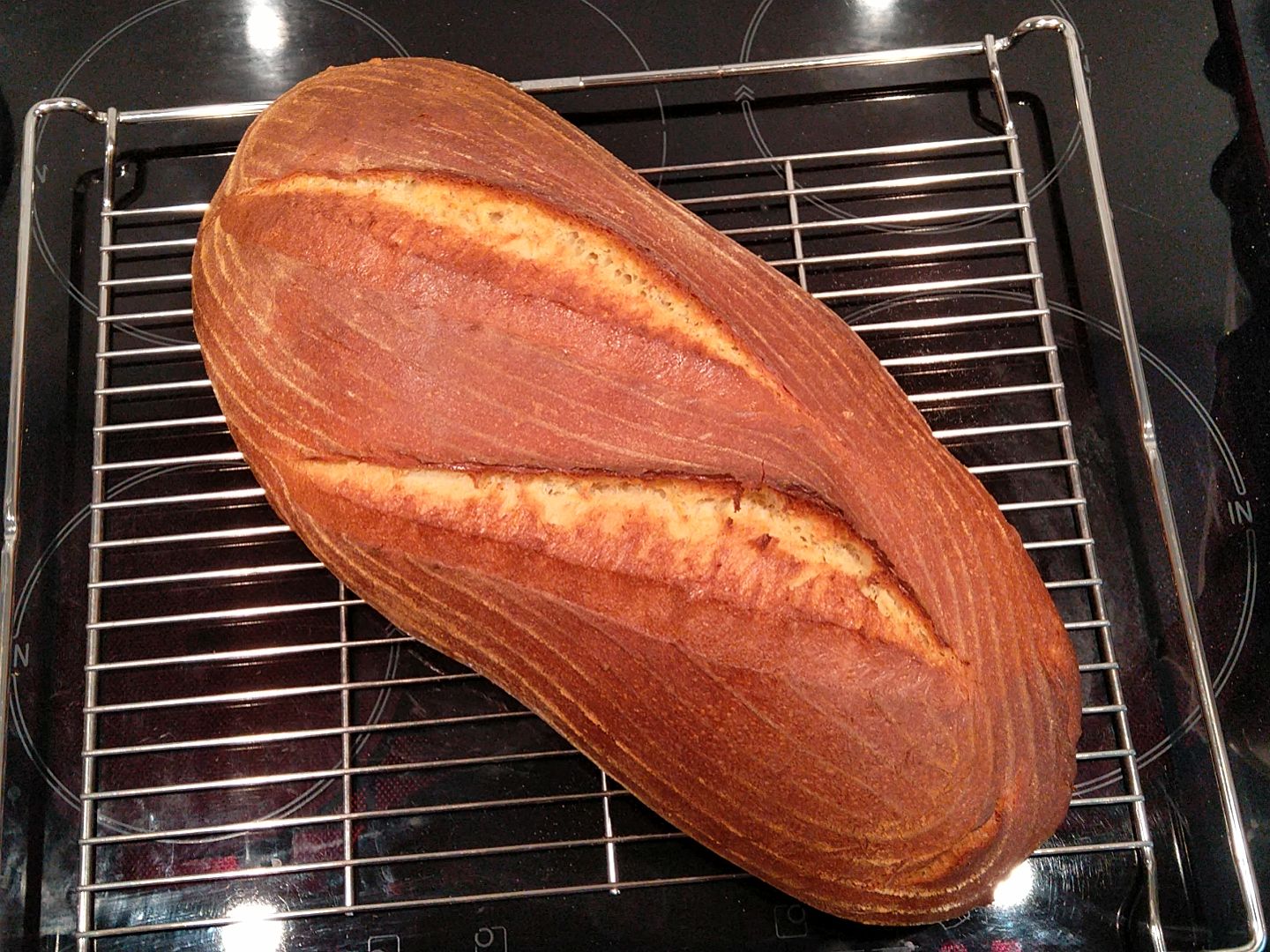 hartweizenbrot_04022024.jpg