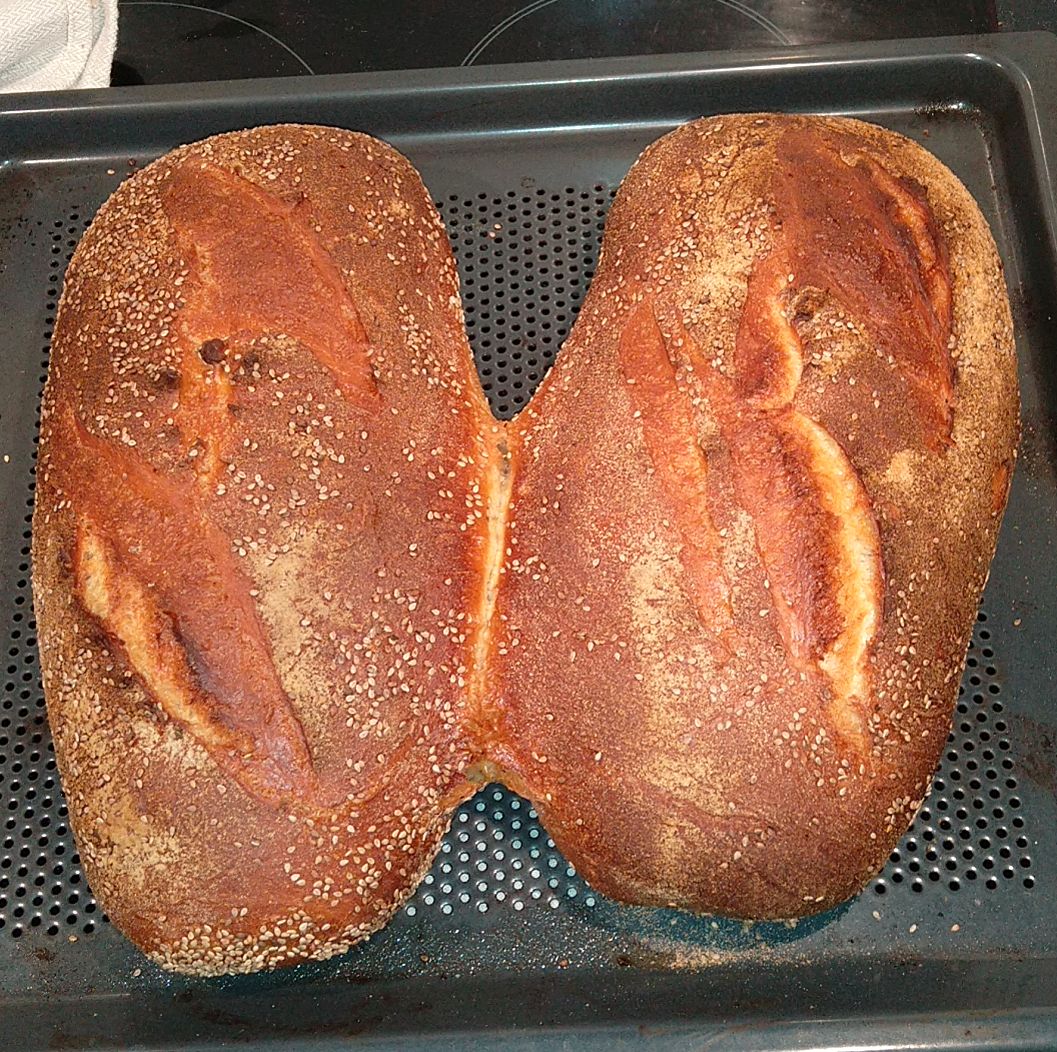 hartweizenbrote_05012024.jpg