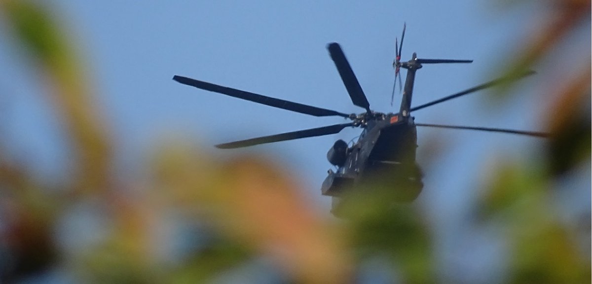 Heli b.jpg