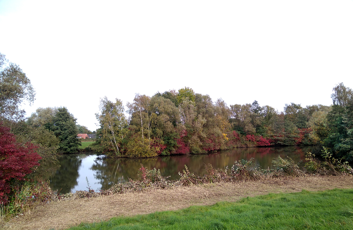 Herbstfarben_Ochtum.jpg