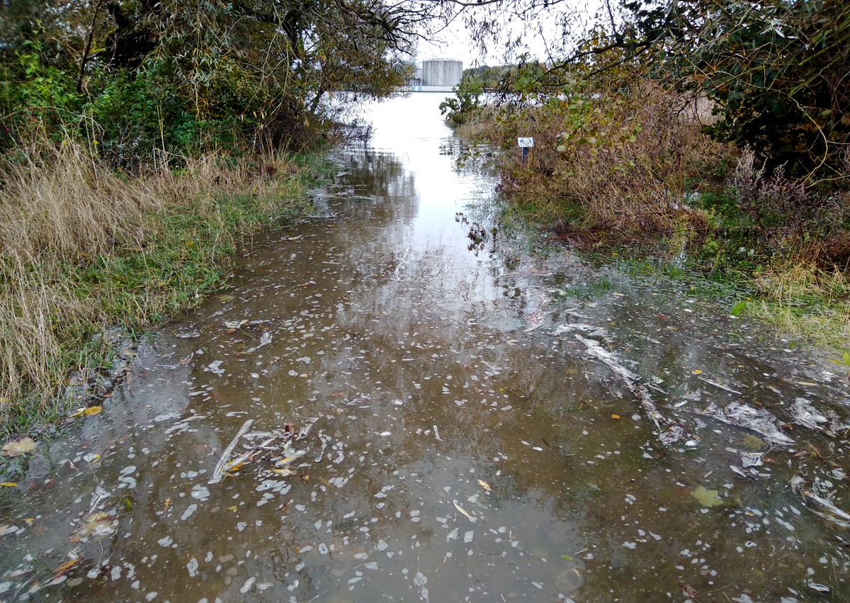 Hier_gehts_zum_Strand.jpg