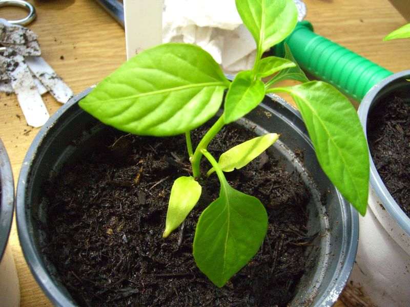 image 07.jpg