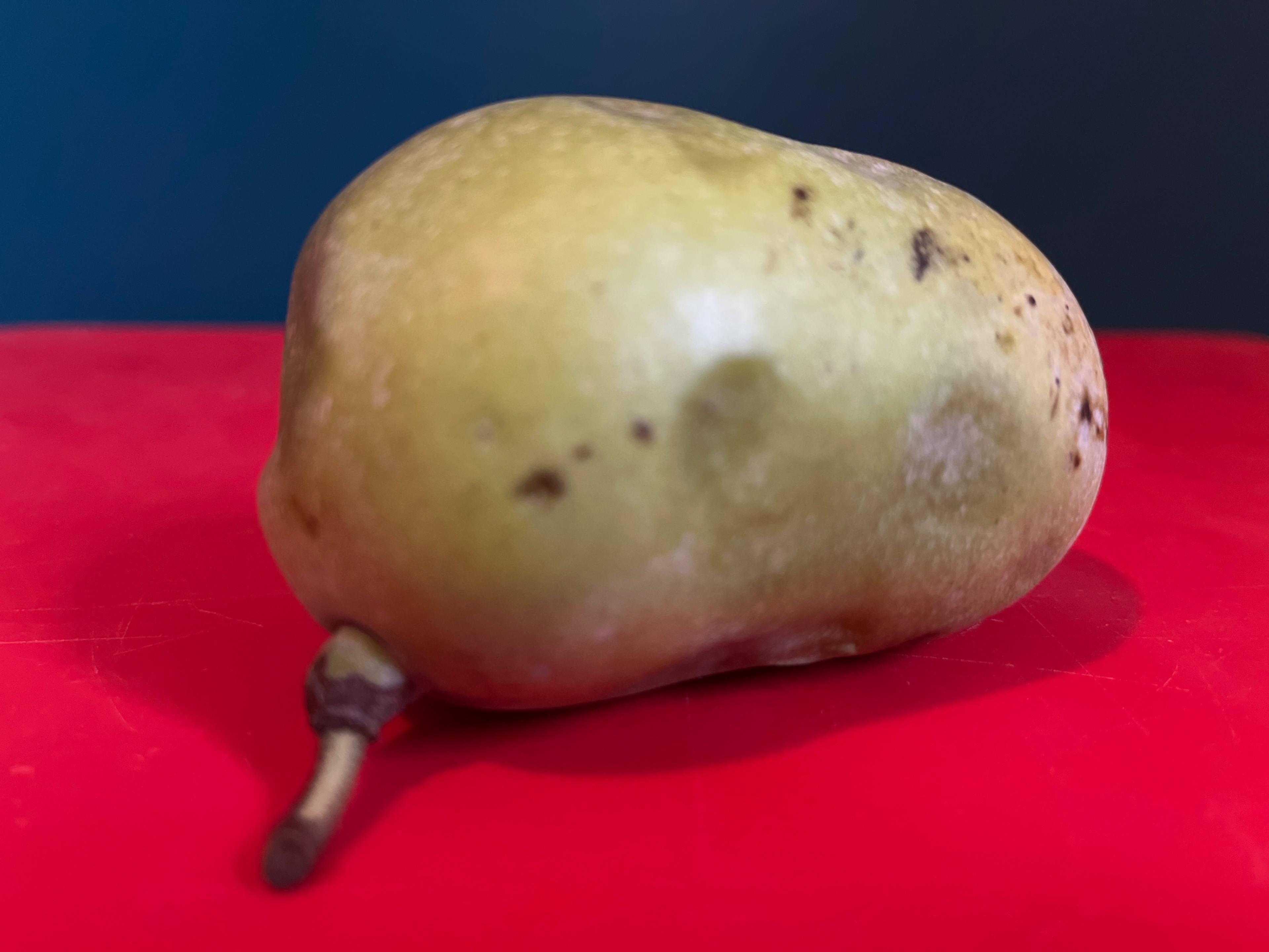 image.jpg