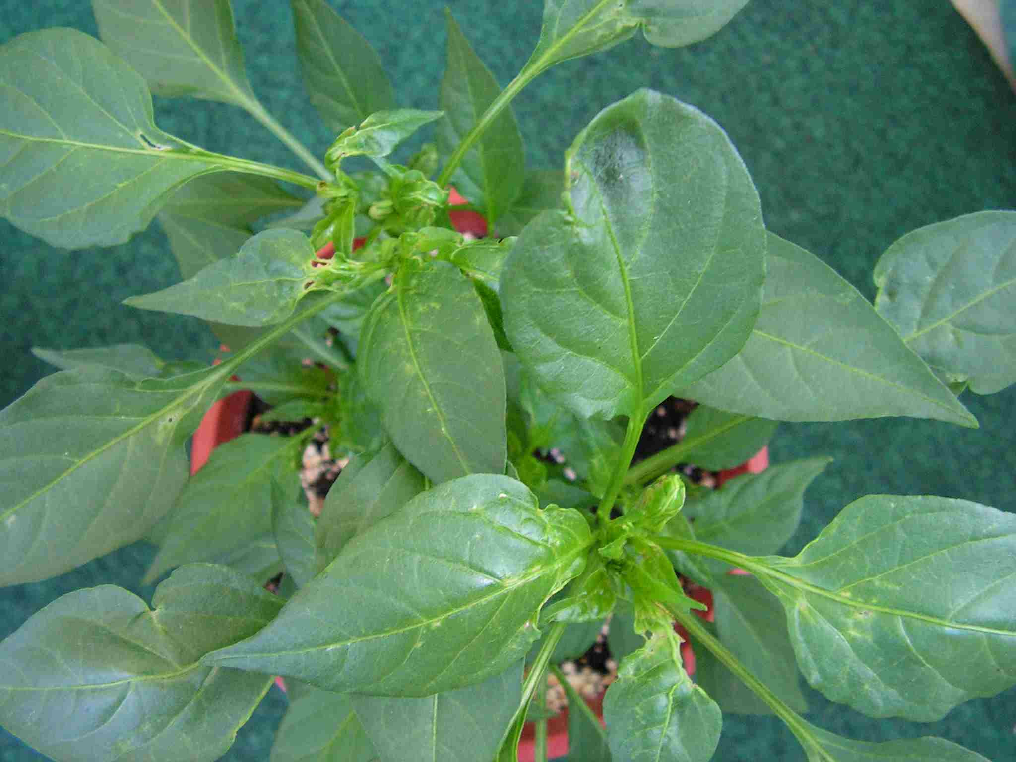 image001.jpg