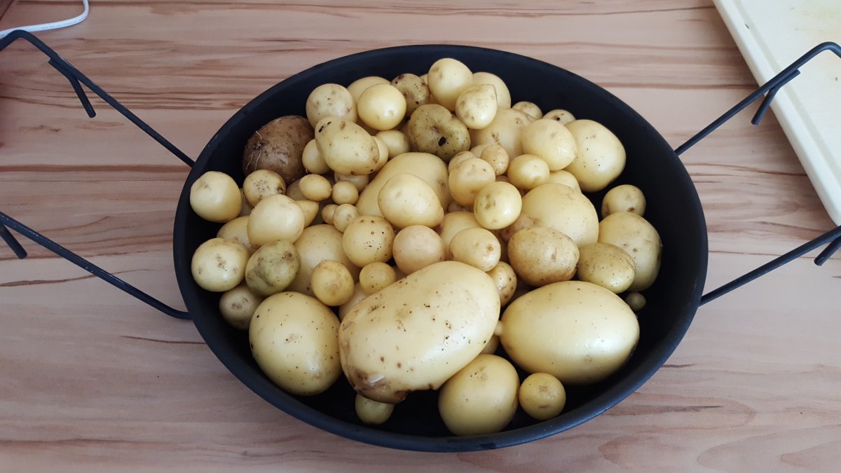 IMG-20170721-WA0012.jpeg