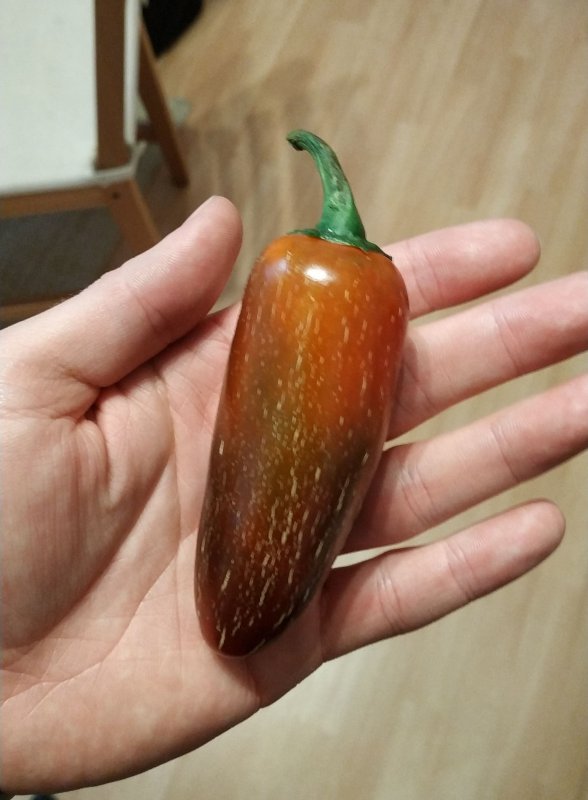 IMG-20180926-WA0000.jpeg