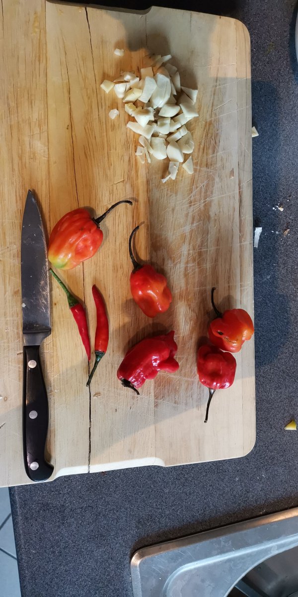 IMG-20190507-WA0005.jpeg