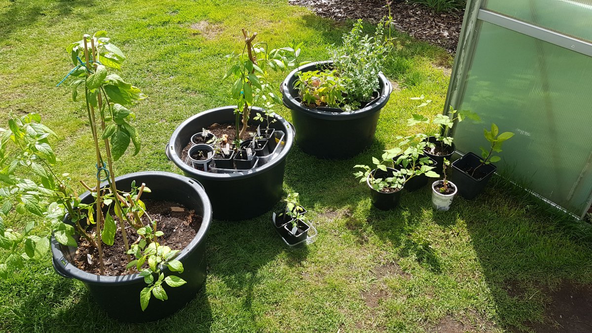 IMG-20190509-WA0049.jpeg